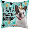 Paw-some Birthday (MB78)