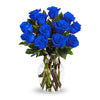 Blue Serenity: 12 Blue Roses (MB311)