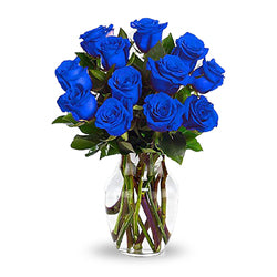 Blue Serenity: 12 Blue Roses (MB311)